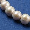 Natural Cultured Freshwater PearlBeads Strands PEAR-K003-12A-01-3