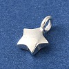 925 Sterling Silver Charms FIND-U013-06S-02-2