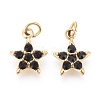 316 Surgical Stainless Steel Charms STAS-F256-024A-G-2