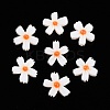 Natural Freshwater Shell Beads Strands SHEL-F004-04-01-2