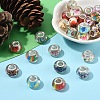 30Pcs Large Hole Resin European Beads OPDL-YW0001-07-5