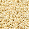 Glass Seed Beads SEED-L011-04A-09-3