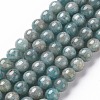 Natural Amazonite Beads Strands G-S333-6mm-005-1