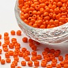 (Repacking Service Available) Glass Seed Beads SEED-C019-4mm-50-1