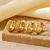 Brass Pave Clear Cubic Zirconia Hoop Earring Sets PB6387-2
