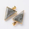 Faceted Triangle Natural Labradorite Big Pendants X-G-M294-03-2