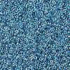 MIYUKI Round Rocailles Beads X-SEED-G007-RR0279-4