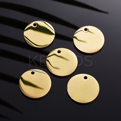304 Stainless Steel Pendants STAS-I140-15B-G-1