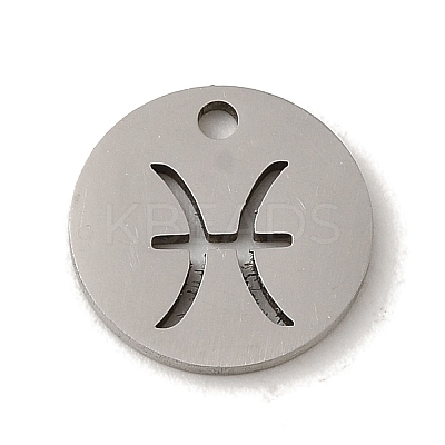 Non-Tarnish 201 Stainless Steel Charms STAS-E217-10P-06-1