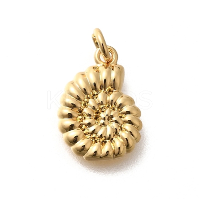 Rack Plating Brass Pendants KK-M296-14G-1