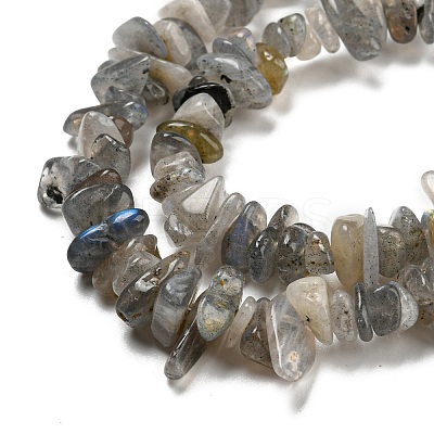 Natural Labradorite Beads Strands G-P332-23-1