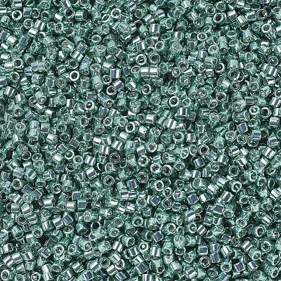 MIYUKI Delica Beads X-SEED-J020-DB0416-1