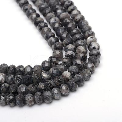 Faceted Rondelle Dyed Natural Sesame Jasper/Kiwi Jasper Bead Strands G-R343-6x8-20-1