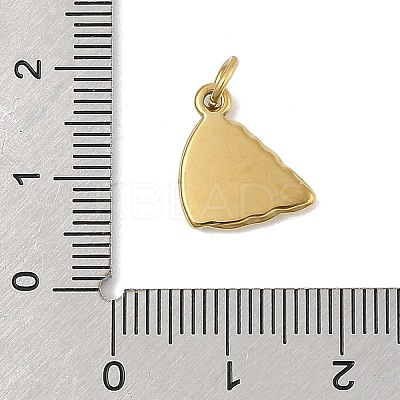 304 Stainless Steel Pendants STAS-U044-01I-G-1