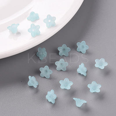 Transparent Acrylic Beads PL554-11-1
