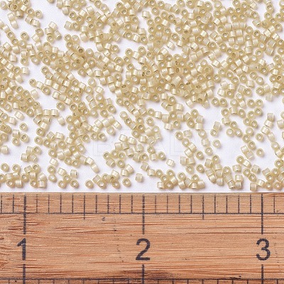 MIYUKI Delica Beads SEED-X0054-DB0621-1