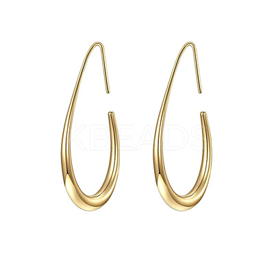 Teardrop Brass Dangle Earrings FS-WG1287F-01-1