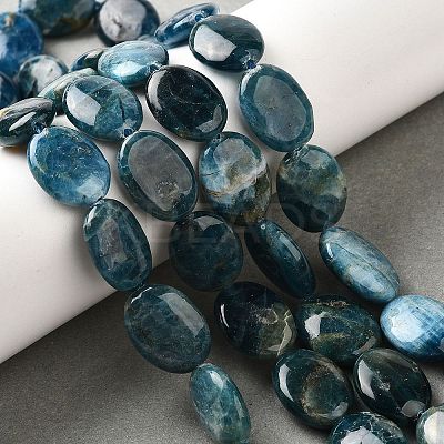Natural Apatite Beads Strands G-Q026-A01-03-1