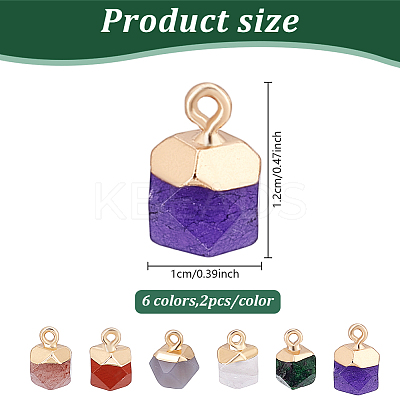 12Pcs 6 Styles Natural Ruby in Zoisite & Natural White Jade & Red Jasper & Grey Agate & Strawberry Quartz & Quartz Crystal Star Cut Round Charms G-HY0001-87-1