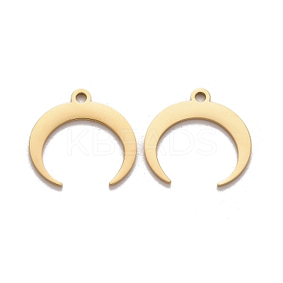 201 Stainless Steel Charms X-STAS-K211-03G-1