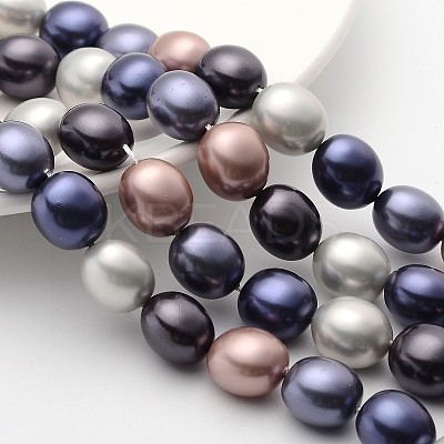 Polished Oval Shell Pearl Bead Strands BSHE-F013-09-1