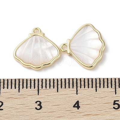 Brass Pave Shell Charms X-KK-G491-41G-1