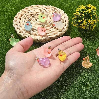 40Pcs 8 Colors Transparent Resin Pendants RESI-SZ0003-27-1