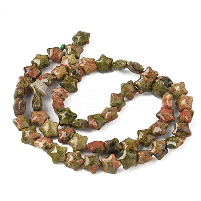 Natural Unakite Star Beads Strands G-Z080-A11-1