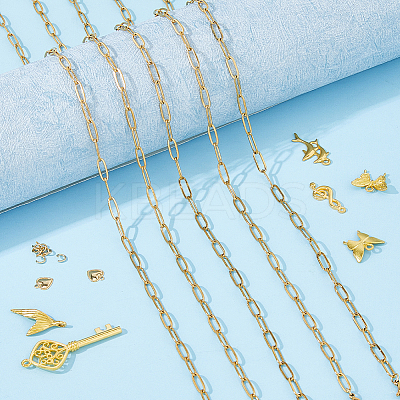 316L Surgical Stainless Steel Flat Paperclip Chains & Alloy Pendants & 304 Stainless Steel Jump Rings & Chain Extenders Kit SJEW-HS00003-1