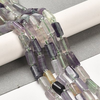Natural Fluorite Beads Strands G-N327-06-20-1