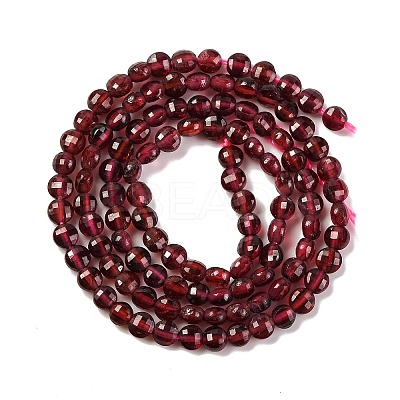 Natural Garnet Beads Strands X-G-F770-B02-01-1