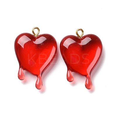 Transparent Resin Pendants RESI-F028-01-1