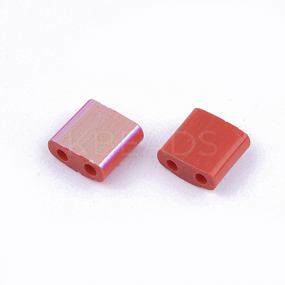 FGB 2-Hole Glass Seed Beads SEED-S031-L-045-R-1