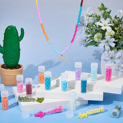 120G 12 Colors Baking Paint Pearlized Glass Seed Beads SEED-DC0001-21-1