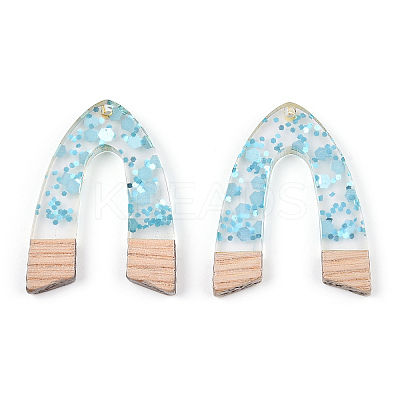 Transparent Resin & White Wood Pendants RESI-N039-53-1
