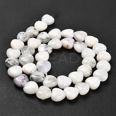 Natural White African Opal Beads Strands G-H005-C10-01-1
