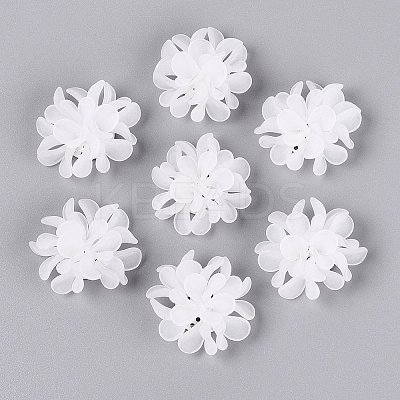 Frosted Transparent Acrylic Cabochons AC-N177-01B-01-1