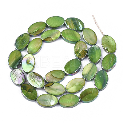 Freshwater Shell Beads Strands SSHEL-T007-19C-1