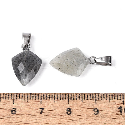 Natural Labradorite Pendants G-N349-18P-04-1