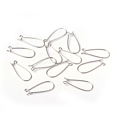Brass Hoop Earring Wires Hook Earring Making Findings X-EC221-1
