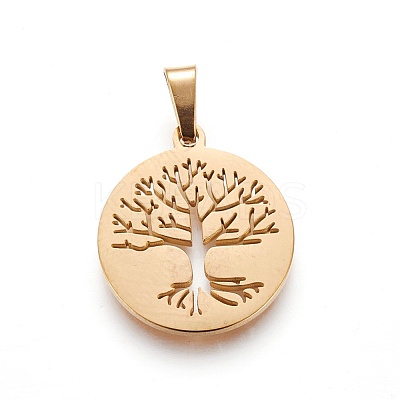 304 Stainless Steel Pendants STAS-P234-37G-1