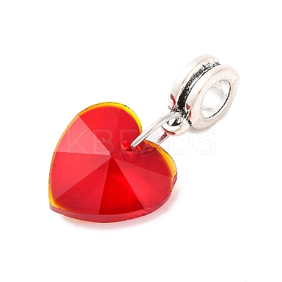 Large Hole Alloy European Dangle Charms PALLOY-JF00041-05-1