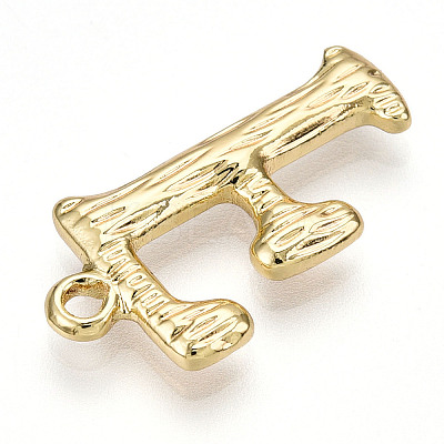 304 Stainless Steel Pendants STAS-N117-01G-F-1
