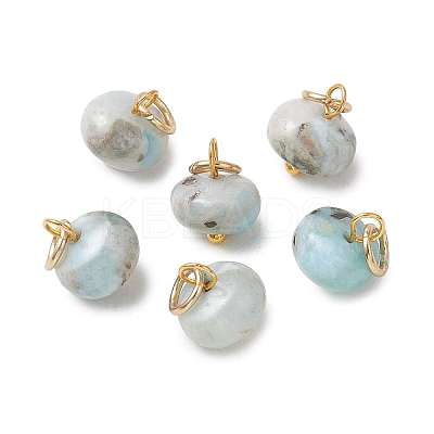 Natural Larimar Pendants PALLOY-JF05885-1