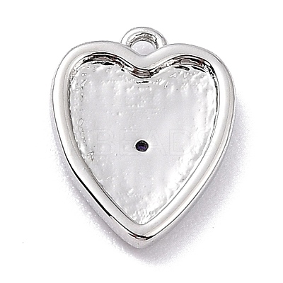 Brass Micro Pave Cubic Zirconia Charms LS-ZIRC-I054-14P-03-1