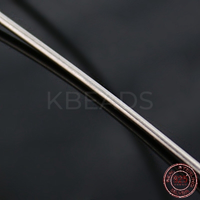 6.5 Foot 925 Sterling Silver Wire STER-D002-1mm-1