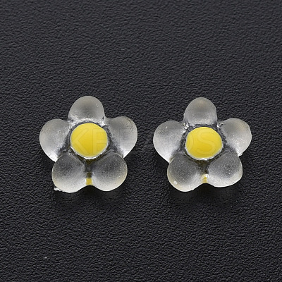 Transparent Resin Cabochons X-CRES-Q216-017-1