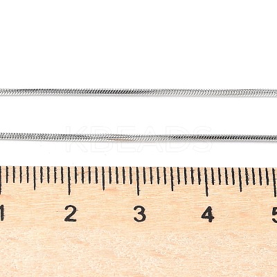 Tarnish Resistant 304 Stainless Steel Snake Chains Necklaces LS-NJEW-O058-24P-1