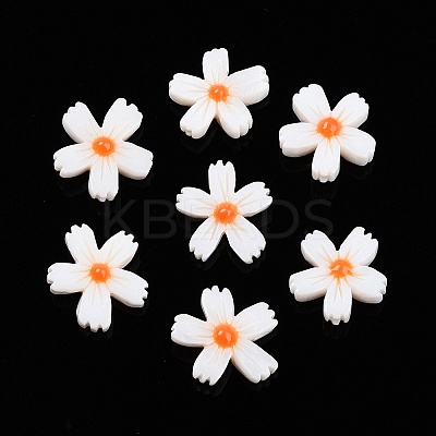 Natural Freshwater Shell Beads Strands SHEL-F004-04-01-1