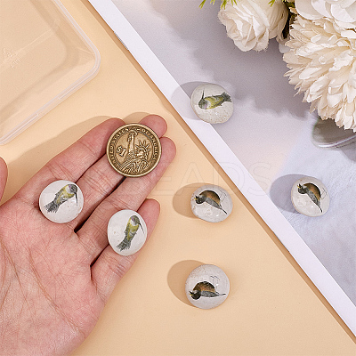 6Pcs 2 Colors Porcelain Buttons BUTT-OC0001-60-1